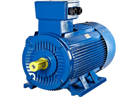 Induction Motor